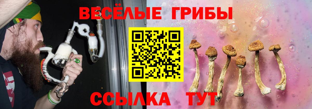 Галлюциногенные грибы ЛСД Буйнакск